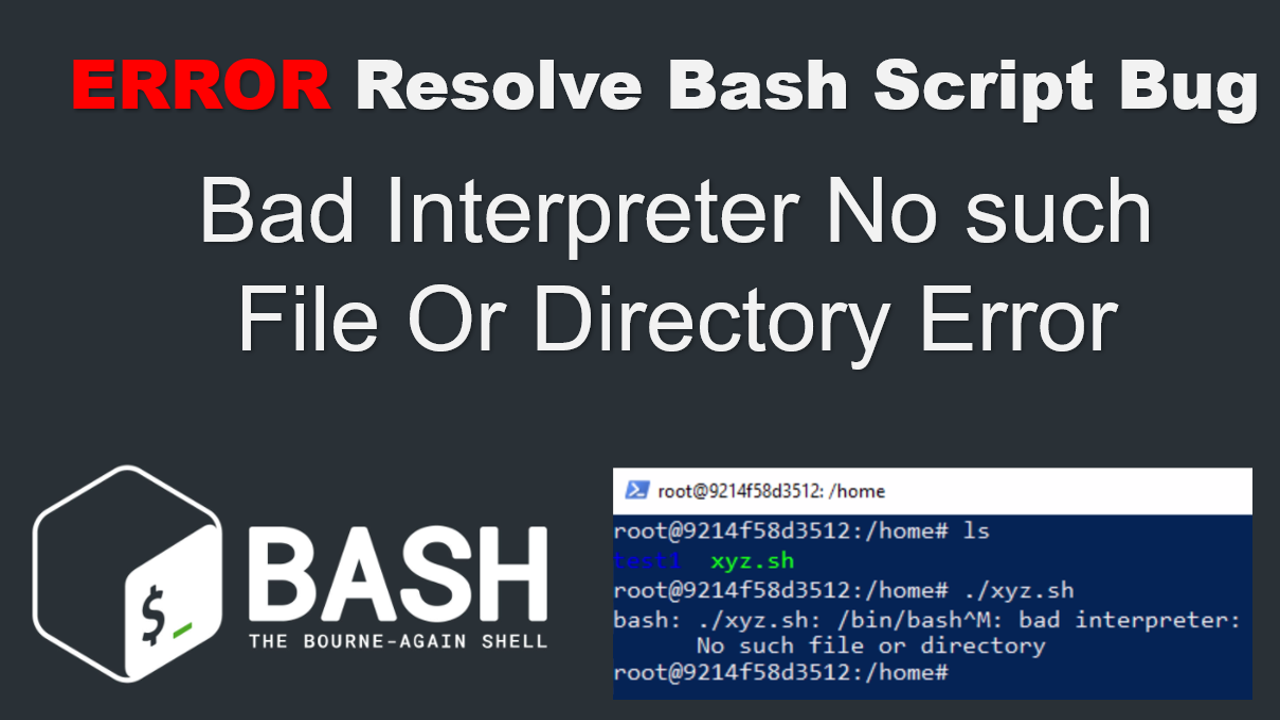 Resolve Bash Script Bad Interpreter No such File Or Directory Error