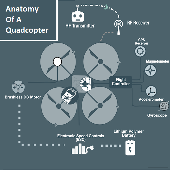 Quadcopter Anatomy