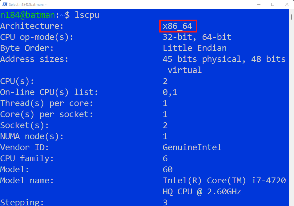 Xybernetics Ubuntu Debian Alpine ARM64 x86 architecture CLI command lscpu